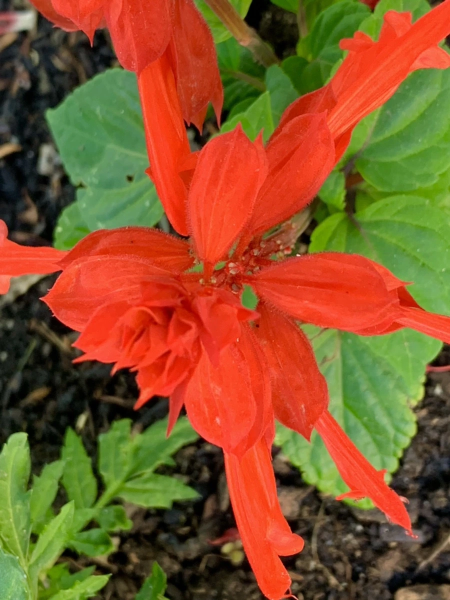 IMG_5192.jpg?type=w966