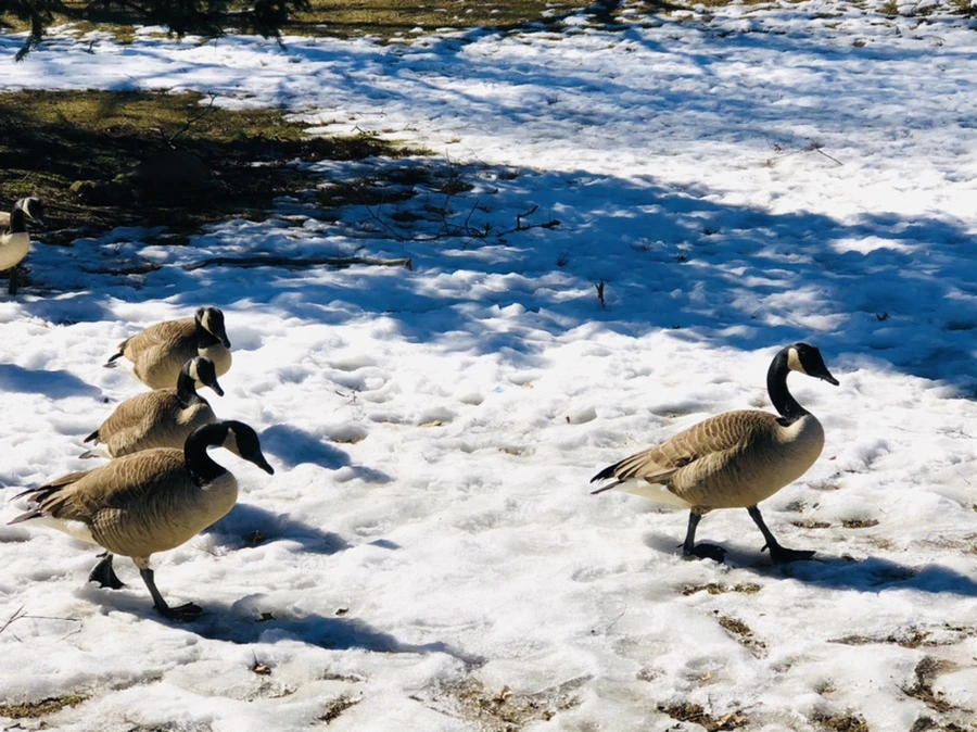 IMG_4861.jpg?type=w966