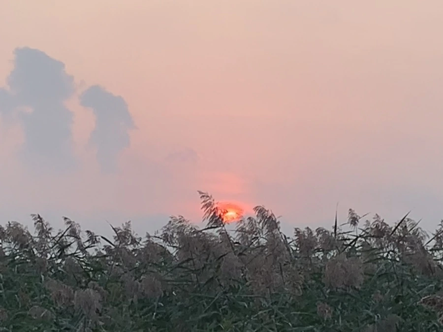 IMG_1075.jpg?type=w966