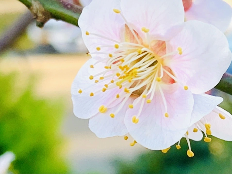 IMG_0818.jpg?type=w966