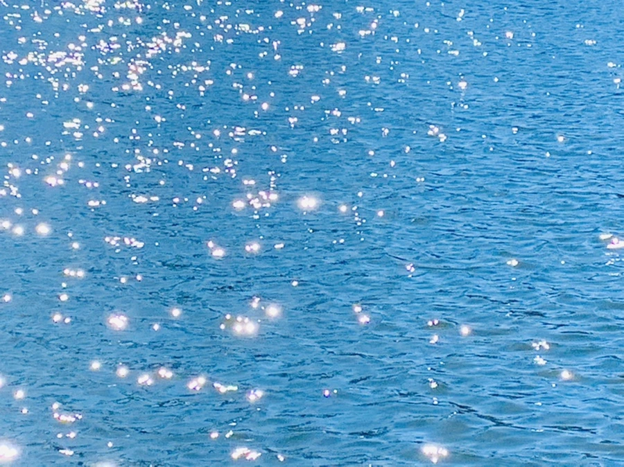 IMG_7558.jpg?type=w966