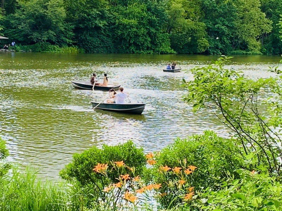 8S8R72w9ryCw564avbG96wWYxw4