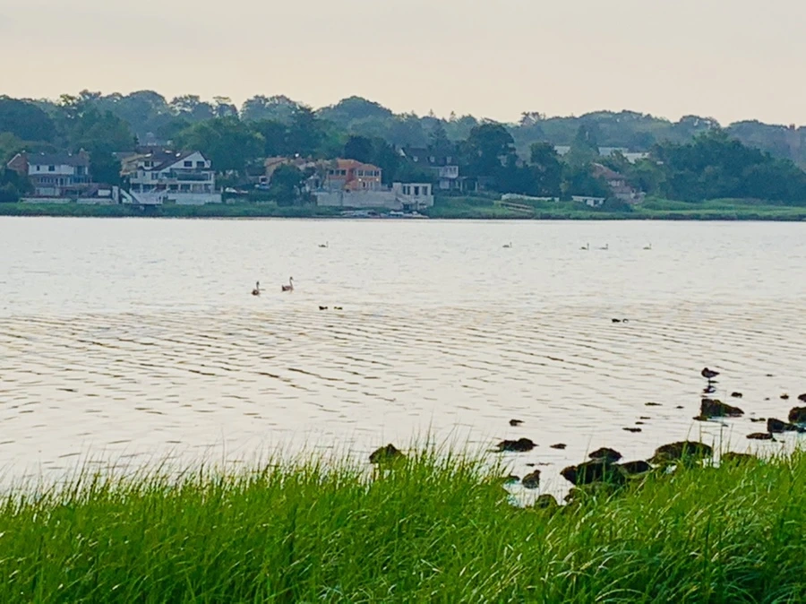 IMG_2262.jpg?type=w966