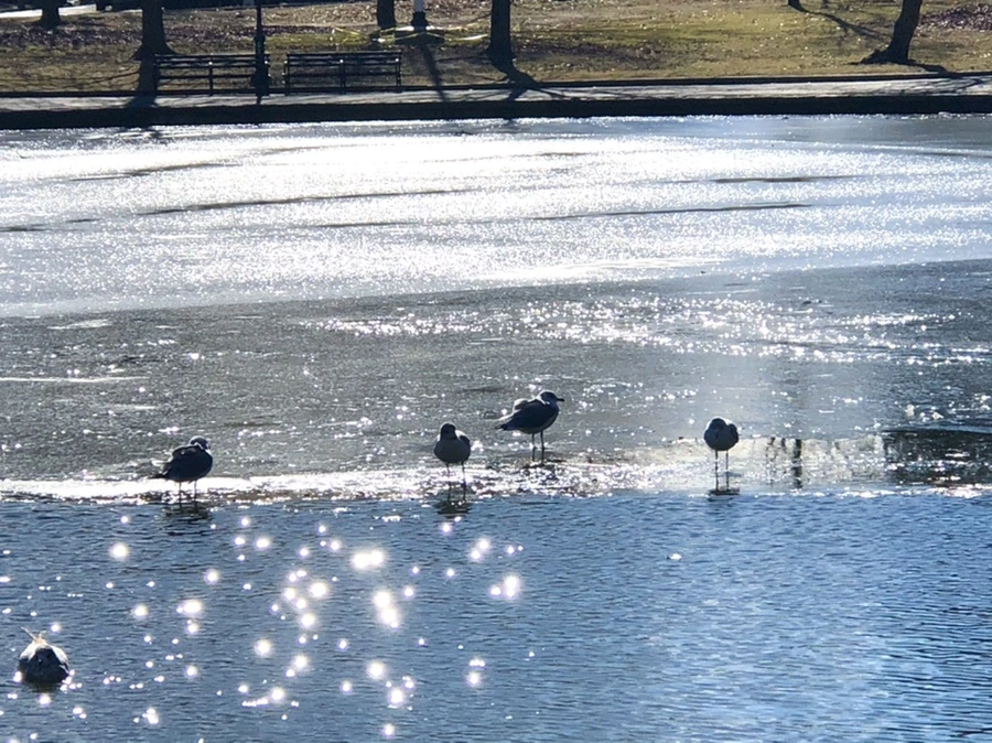 IMG_6794.jpg?type=w966