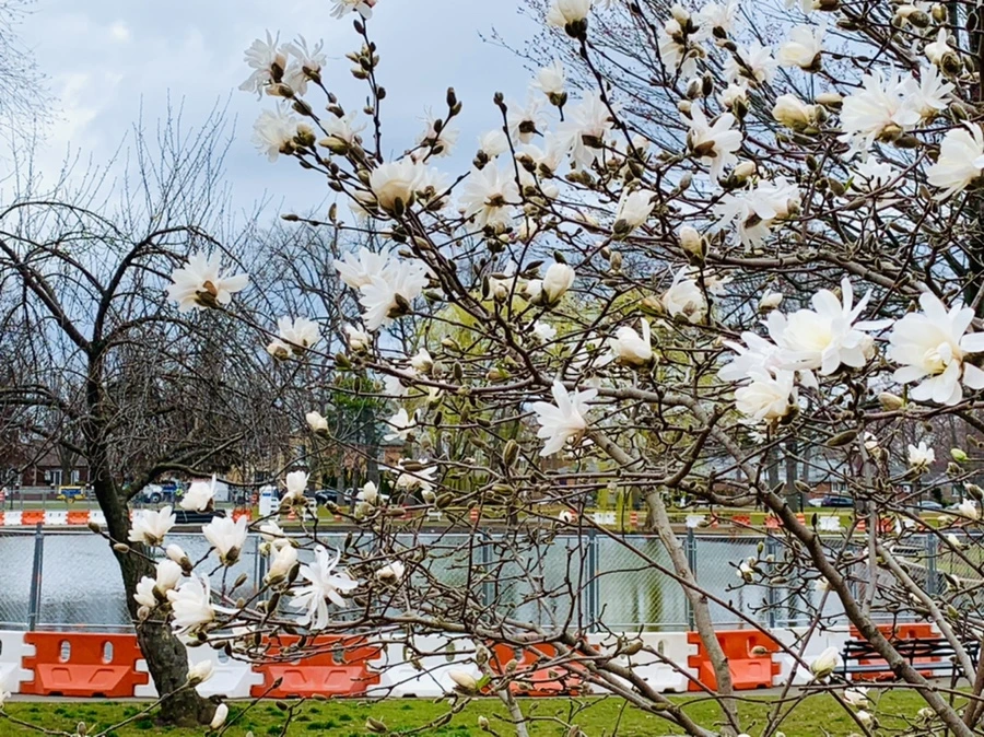 IMG_6025.jpg?type=w966