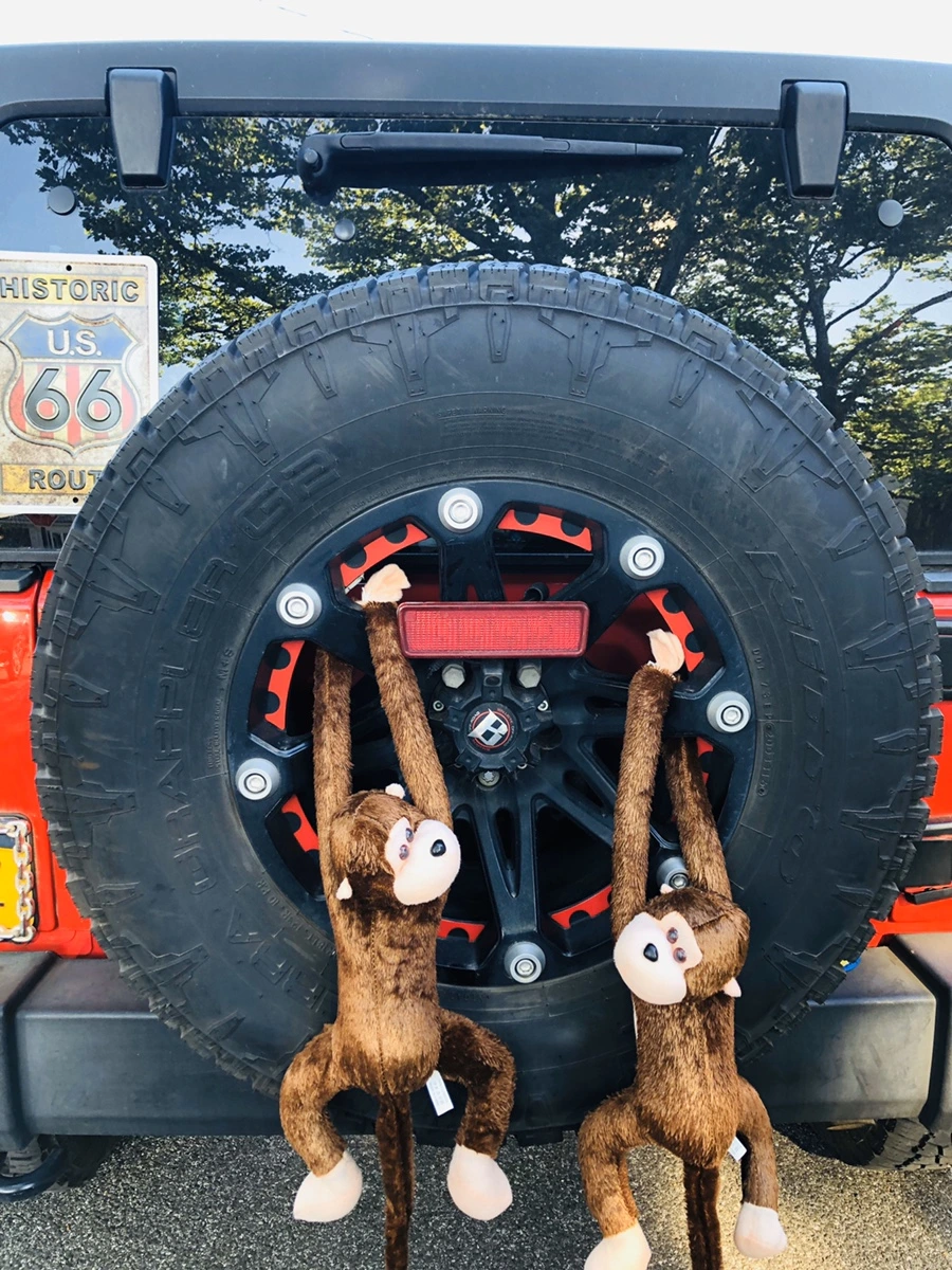 IMG_8428.jpg?type=w966