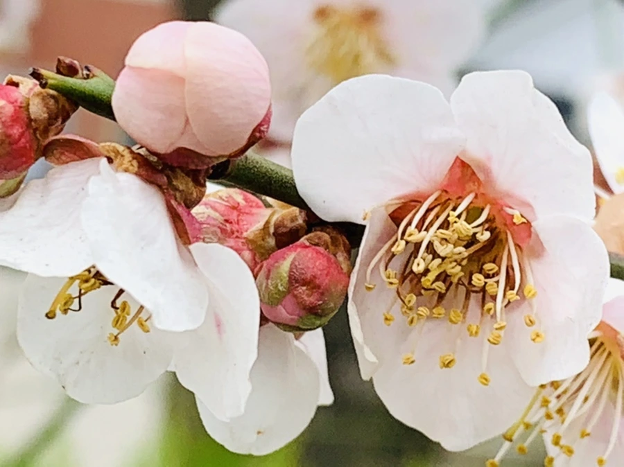 IMG_3569.jpg?type=w966