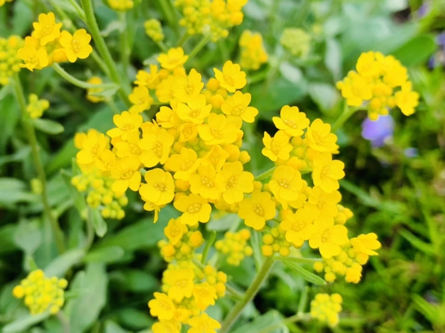 IMG_3827.jpg?type=w966