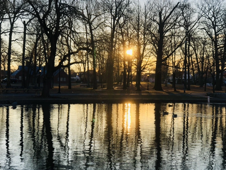 IMG_0797.jpg?type=w966