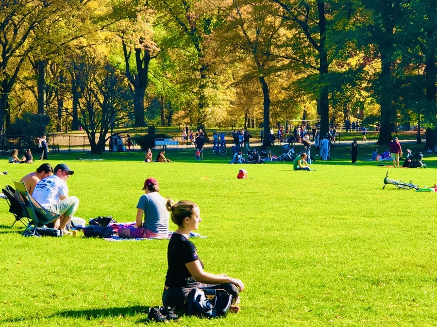 IMG_3827.jpg?type=w966