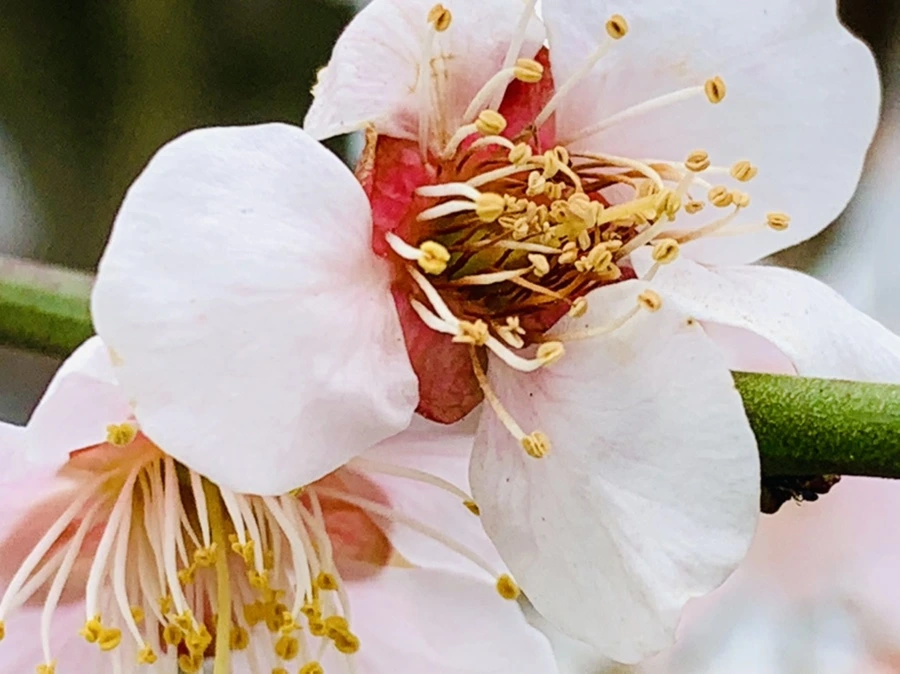 IMG_3562.jpg?type=w966