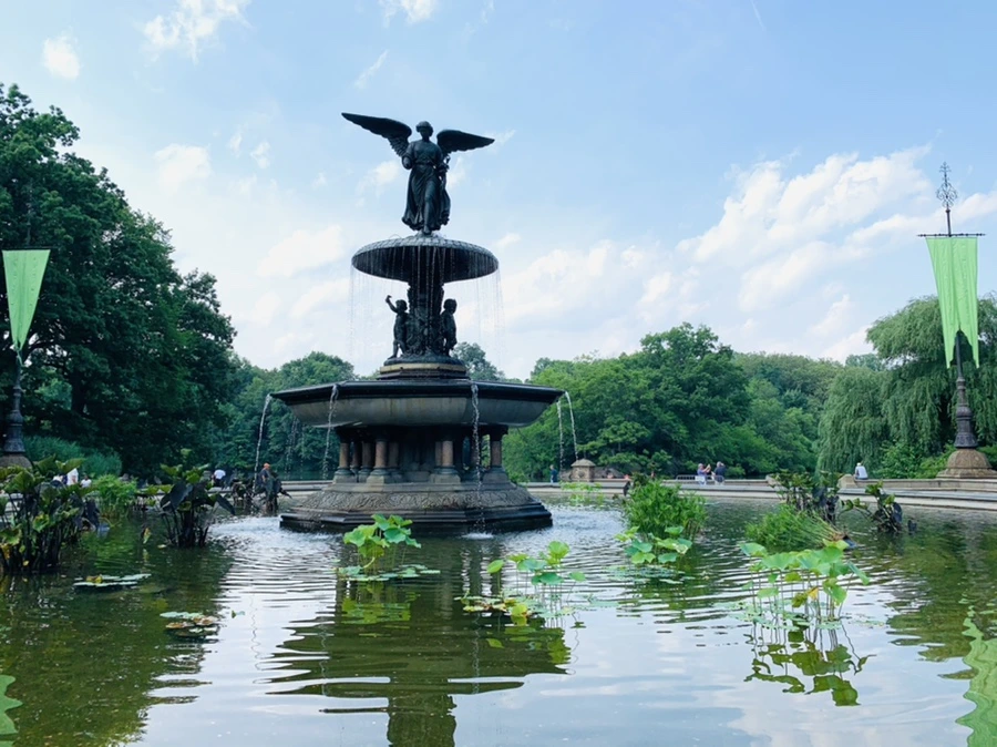 IMG_1770.jpg?type=w966