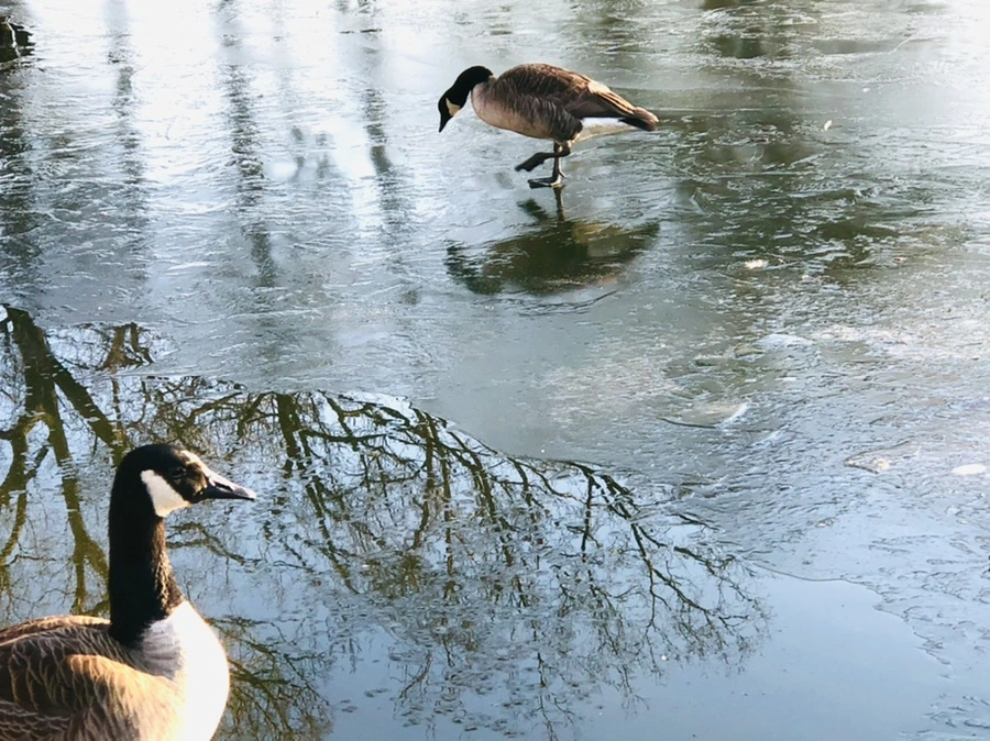 IMG_2246.jpg?type=w966