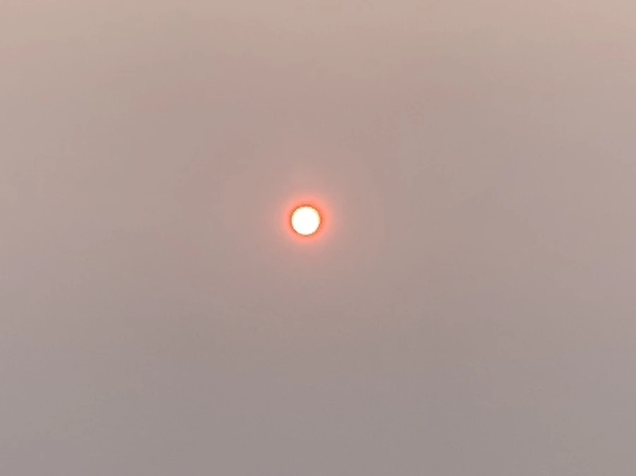 IMG_8063.jpg?type=w966