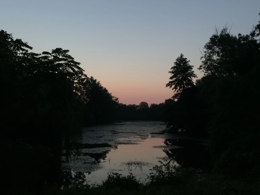 IMG_1799.jpg?type=w966