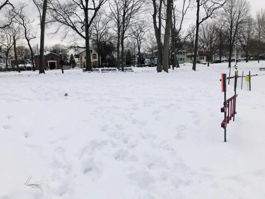 IMG_2601.jpg?type=w966