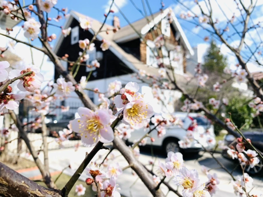 IMG_0966.jpg?type=w966