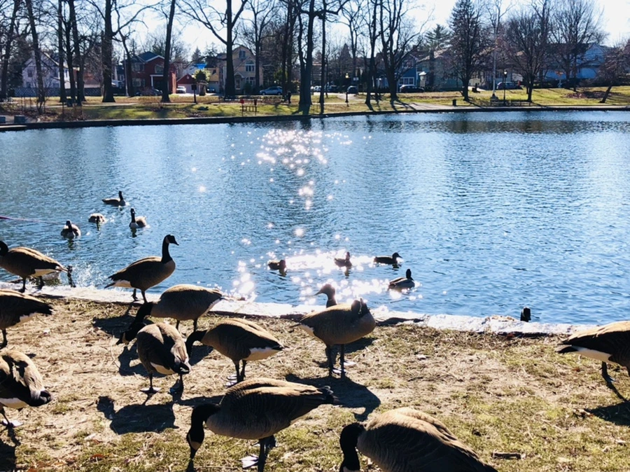 IMG_0203.jpg?type=w966