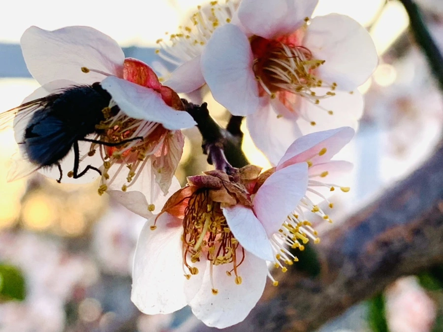 IMG_2726.jpg?type=w966