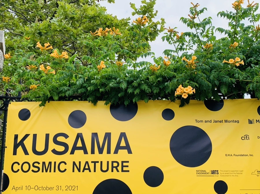 IMG_2360.jpg?type=w966