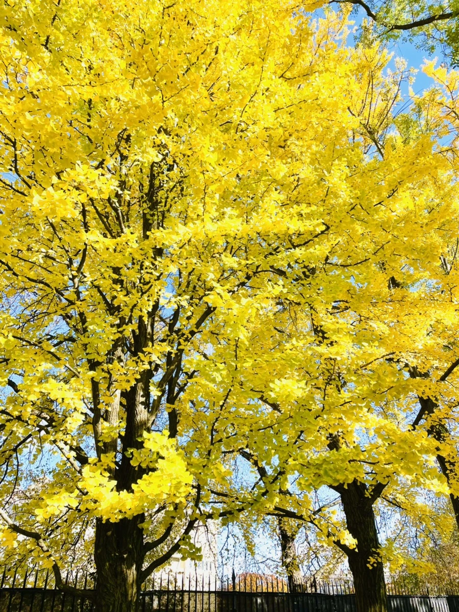 IMG_3024.jpg?type=w966