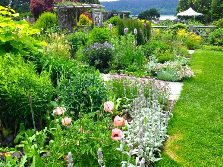 IMG_4480.JPG?type=w2