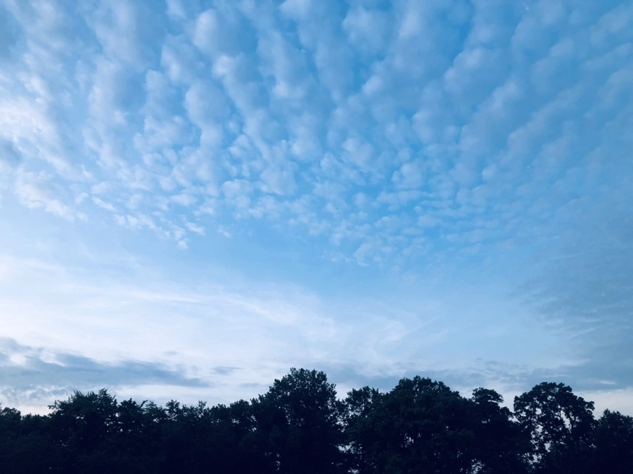 IMG_3615.jpg?type=w966