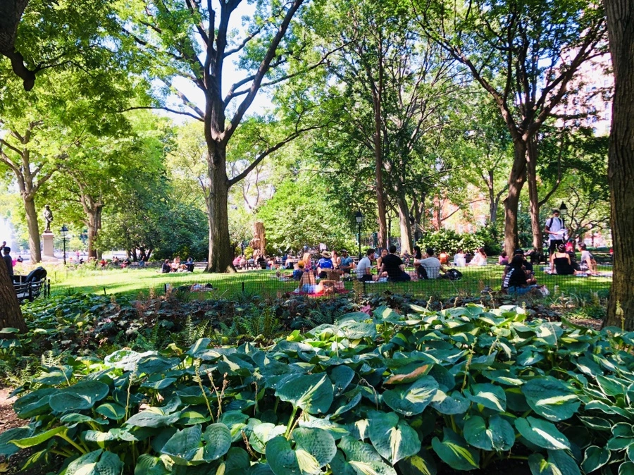 IMG_5438.jpg?type=w966