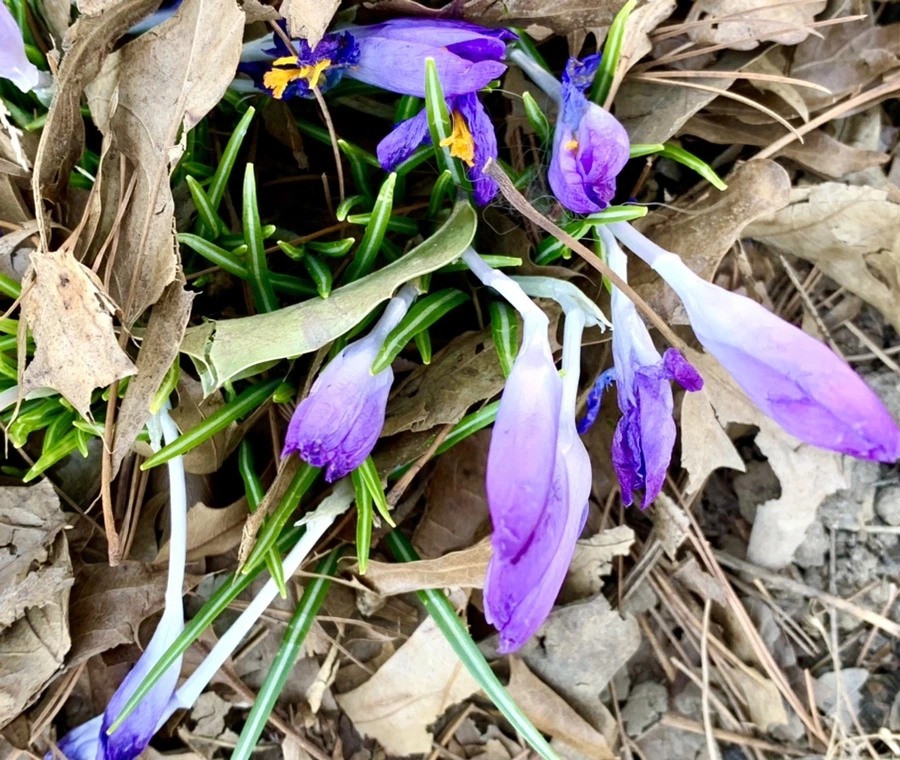 IMG_1448.jpg?type=w966