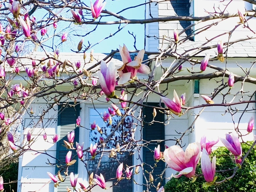 IMG_7514.jpg?type=w966