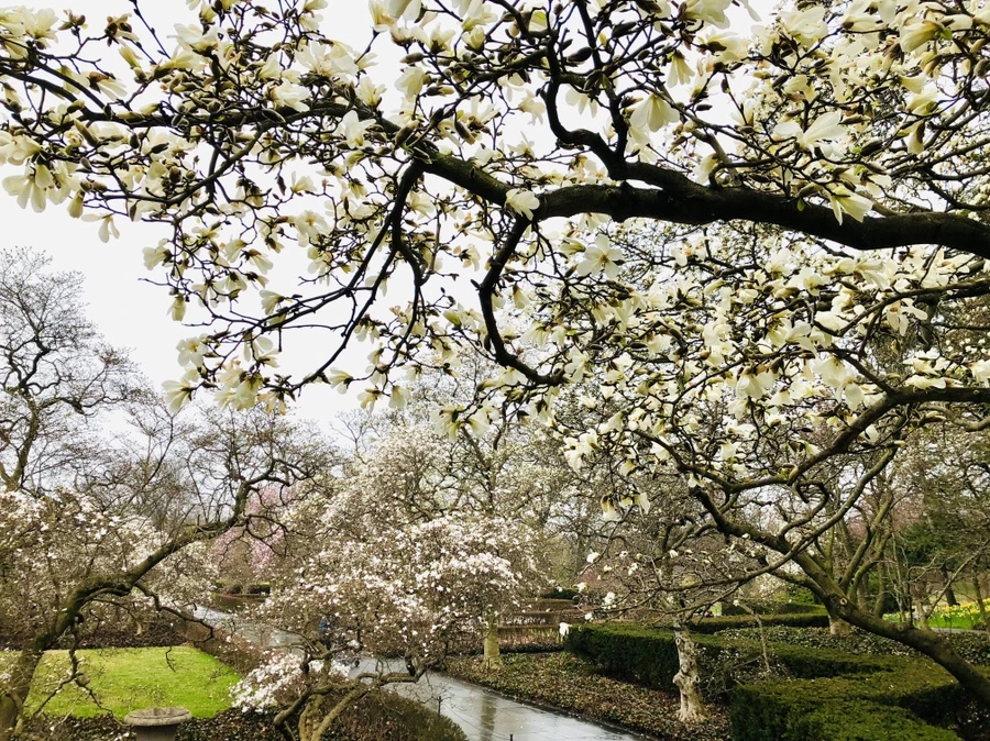 IMG_2324.jpg?type=w966