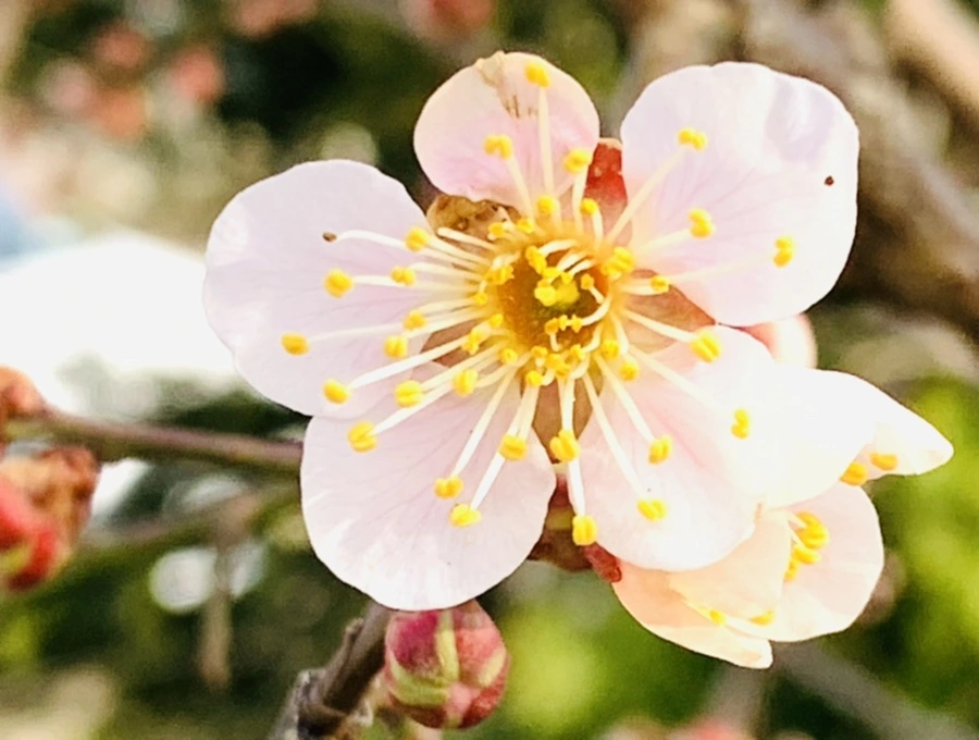 IMG_0264.jpg?type=w966