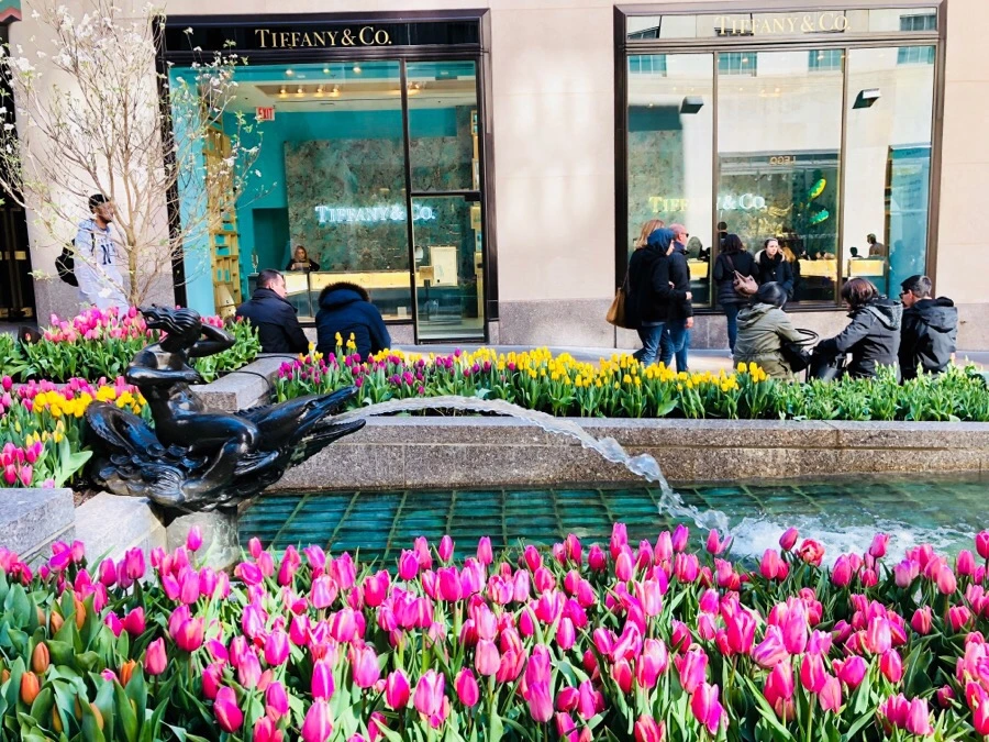 IMG_4486.jpg?type=w966