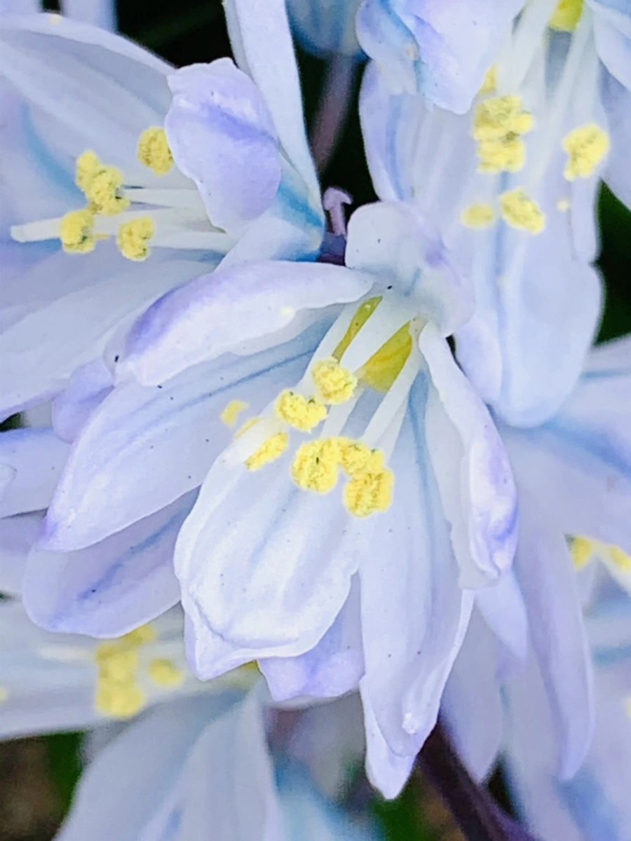 IMG_3534.jpg?type=w966