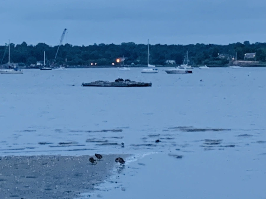 IMG_6739.jpg?type=w966