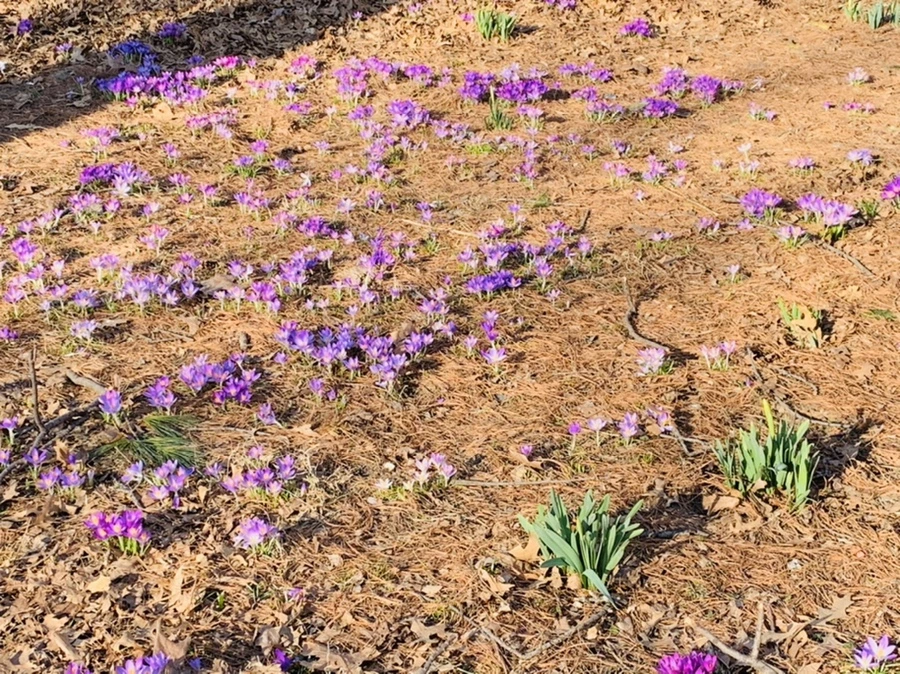 IMG_0399.jpg?type=w966