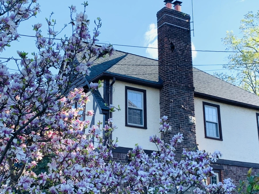 IMG_4141.jpg?type=w966