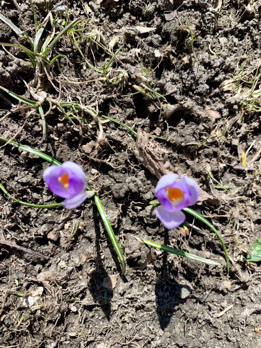 IMG_8205.jpg?type=w966