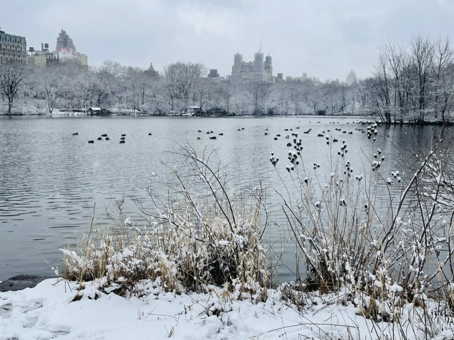 IMG_2194.jpg?type=w966