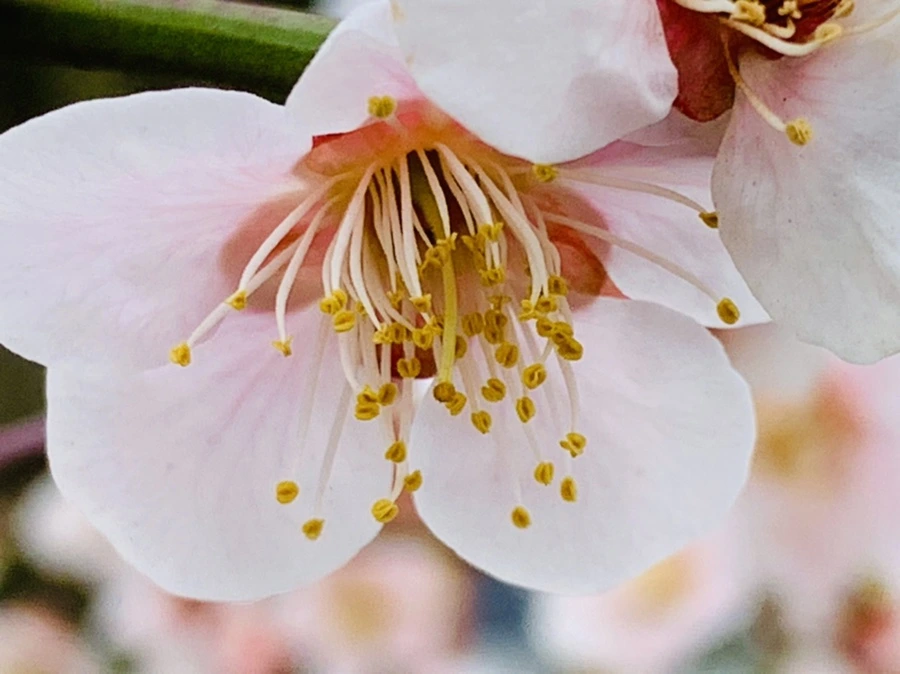 IMG_3580.jpg?type=w966