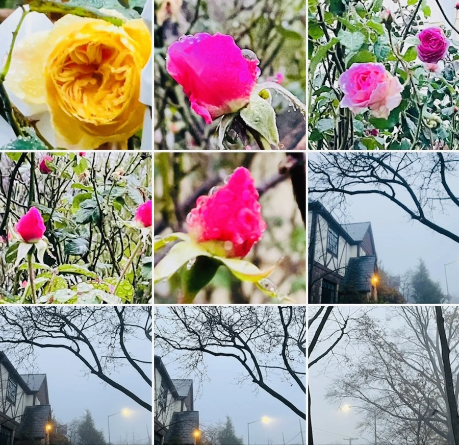 IMG_6435.jpg?type=w966