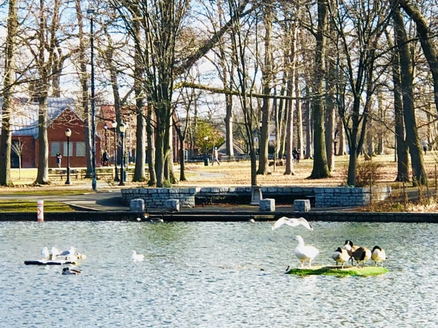 IMG_9235.jpg?type=w966