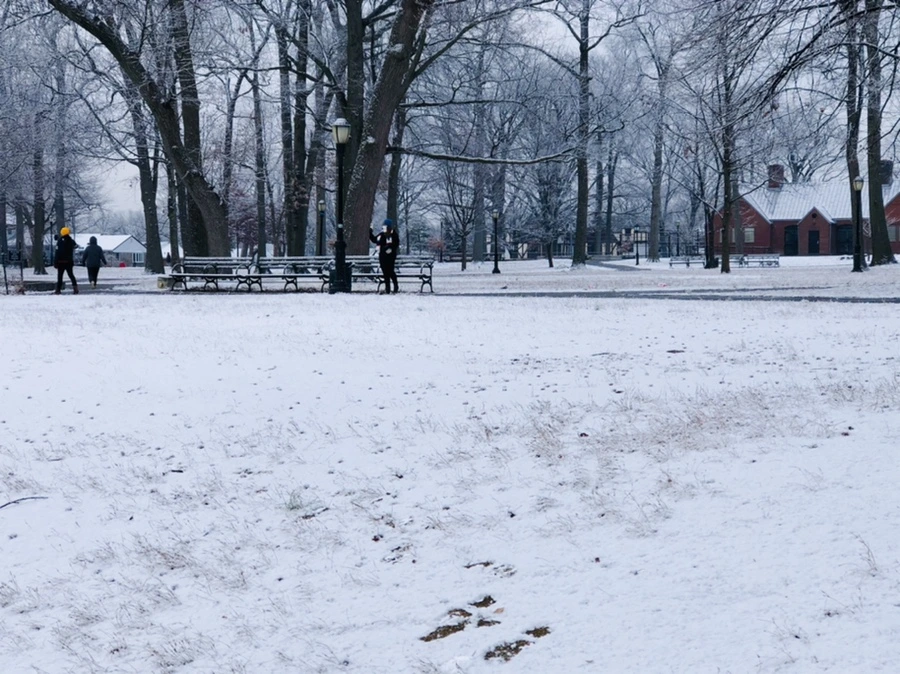 IMG_4487.jpg?type=w966