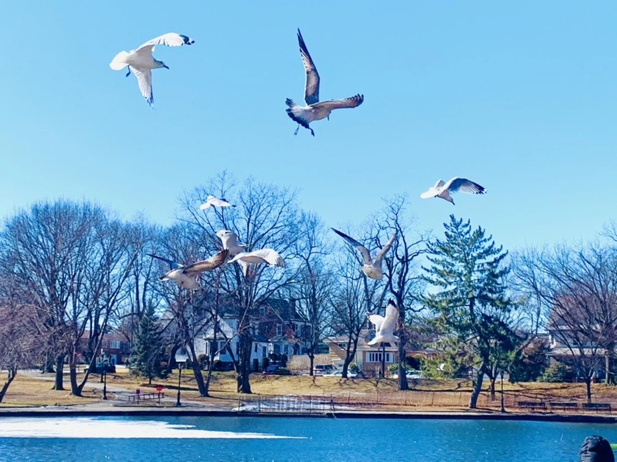 DTNXzUrxDsG6mhqsU3miv-mC0w0