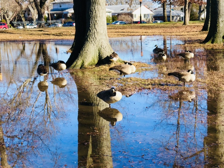 IMG_9784.jpg?type=w966