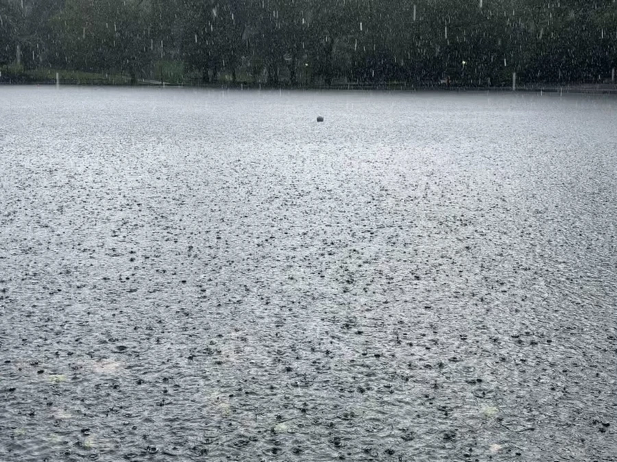 IMG_1731.jpg?type=w966