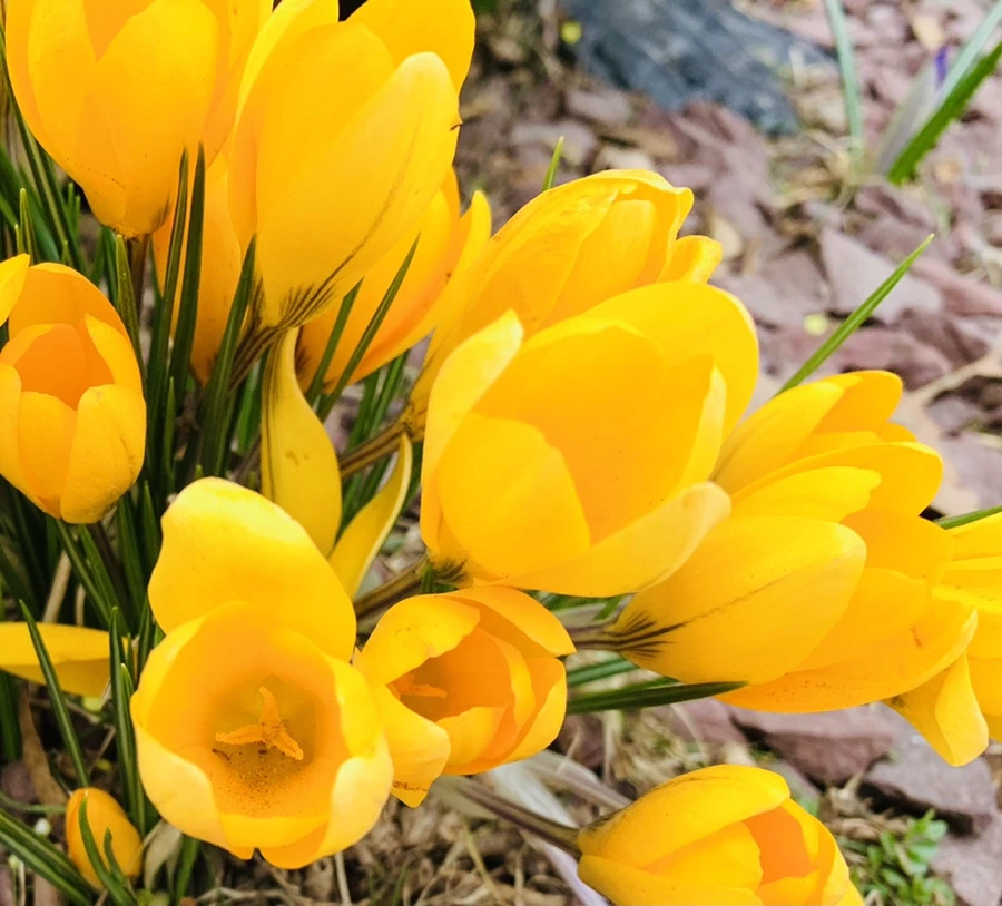 IMG_1660.jpg?type=w966