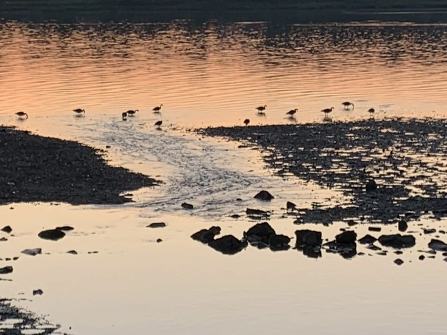 IMG_0063.jpg?type=w966