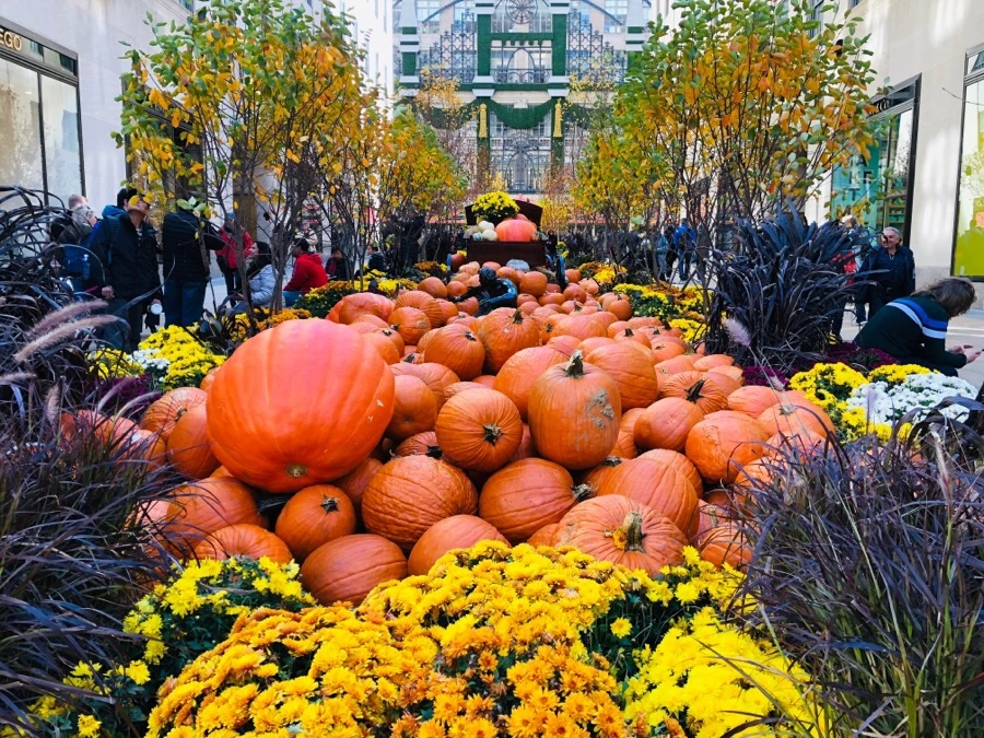 IMG_7177.jpg?type=w966