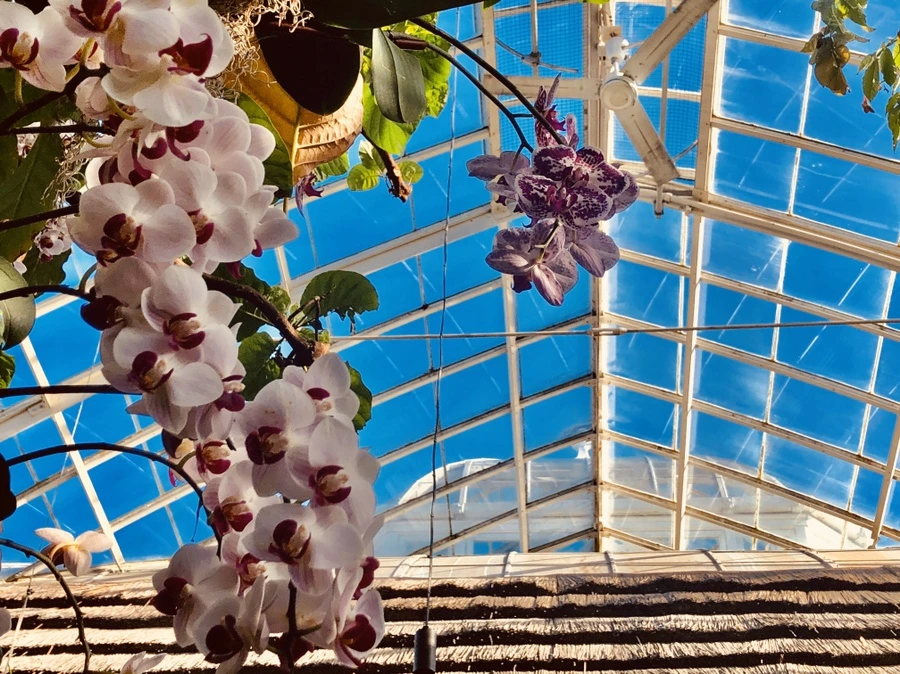 IMG_6262.jpg?type=w966